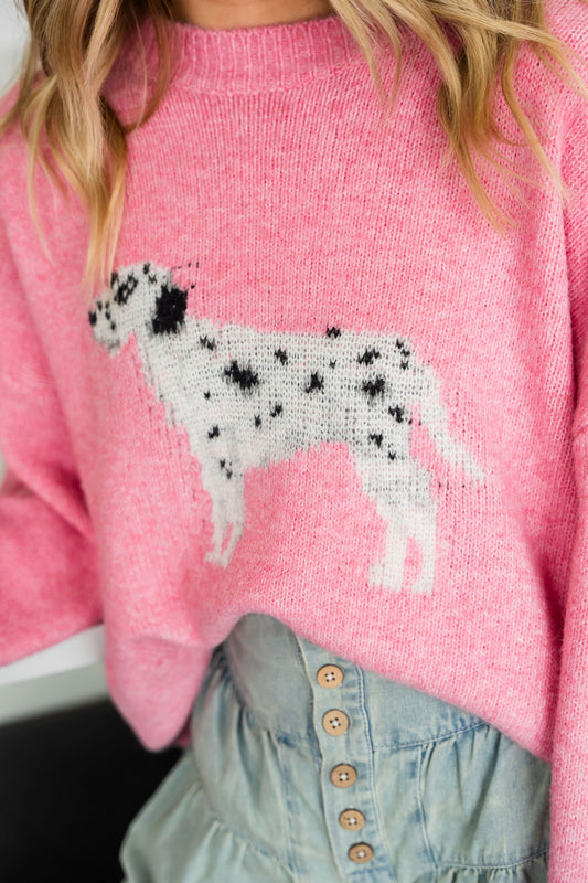 Frenchie Dalmatian Sweater