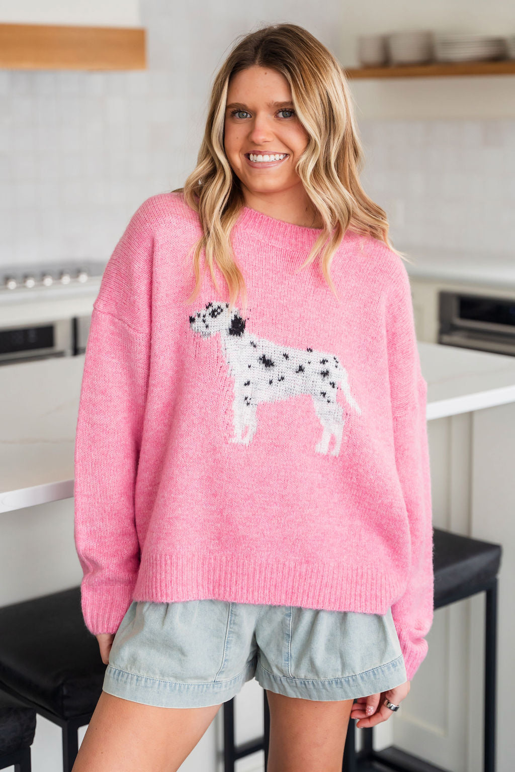 Frenchie Dalmatian Sweater